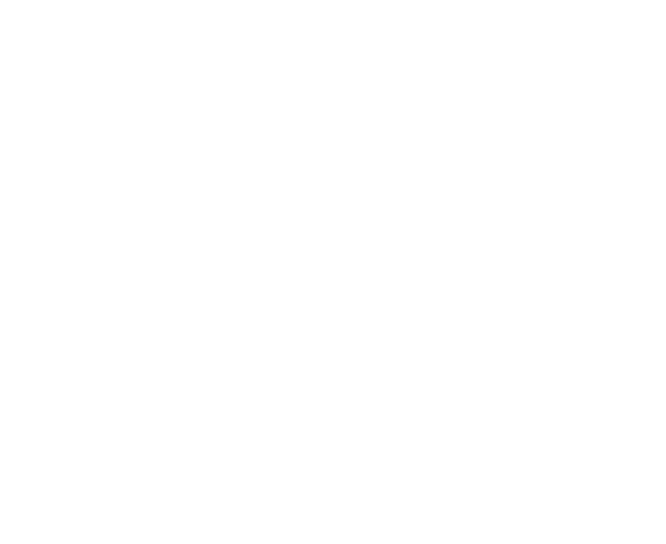 Logo GABO IDM